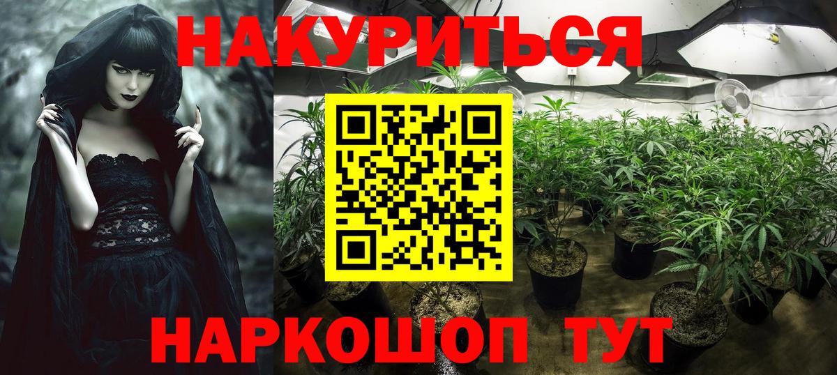 Бошки Шишки марихуана  МАРИХУАНА Ganja  Вход с VPN  Марихуана планчик  Орехово-Зуево 